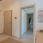 Premium - Rua Agosto Azul * Portimão